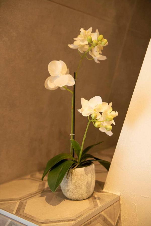 Beautiful Center In Near Medieval Castle Apartment